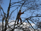 spiderman spiderman